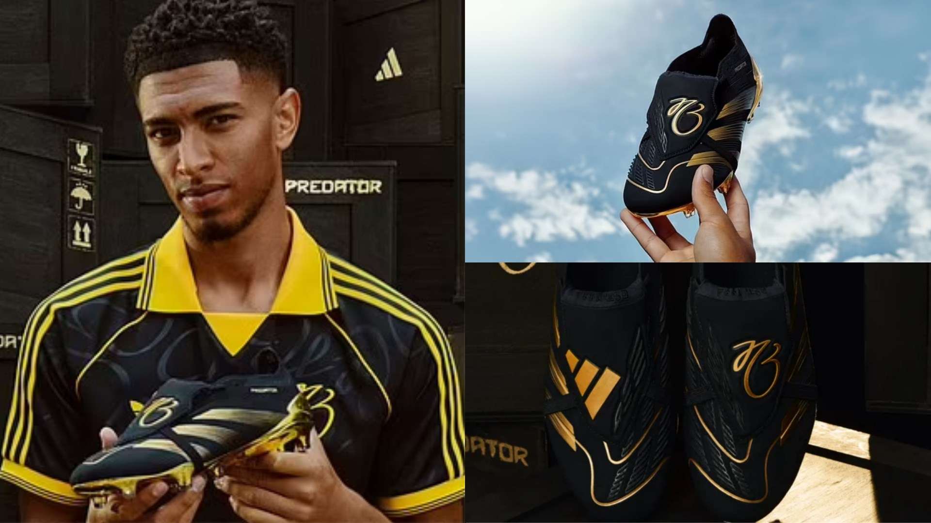 不应被轻易 不应被轻易