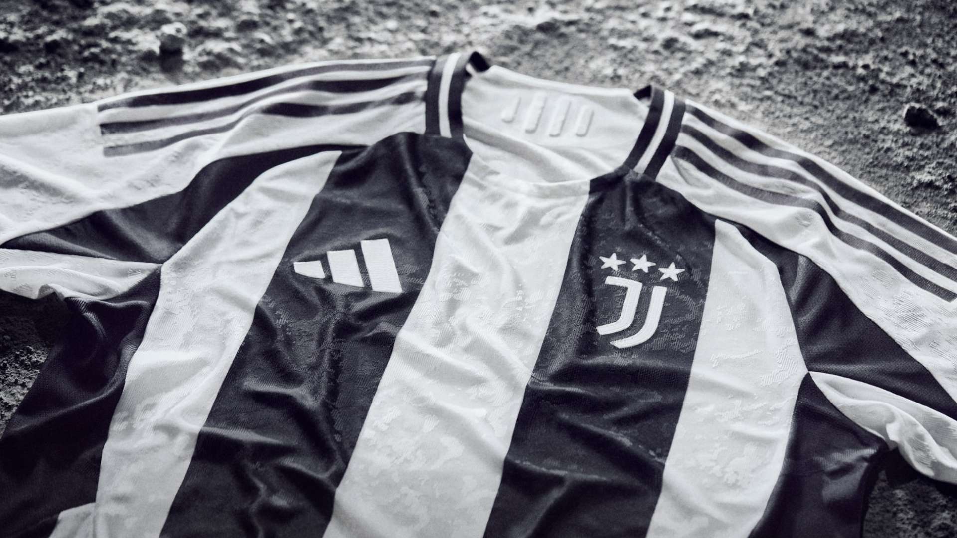 更为我们提 更为我们提