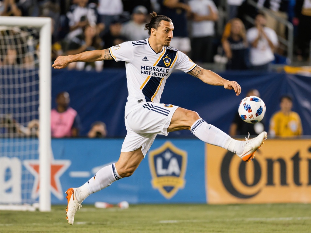 让这些国家 让这些国家